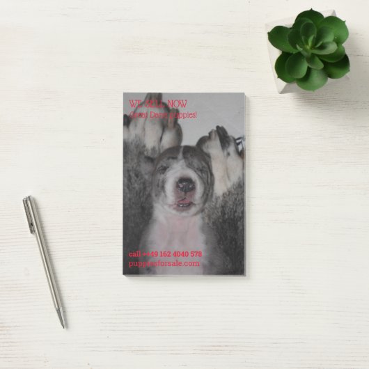 子犬の販売のポットノート ポストイット (オフィス)