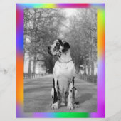 子犬の販売フライヤーの色鮮やかな涙 チラシ (裏面)