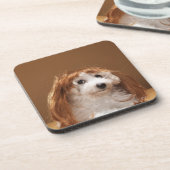 子犬の身に着けているショウガのかつら コースター (左側)