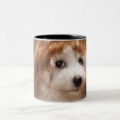 子犬の身に着けているショウガのかつら ツートーンマグカップ (中央)