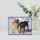 子犬の遊はがき ポストカード (スタンド正面)