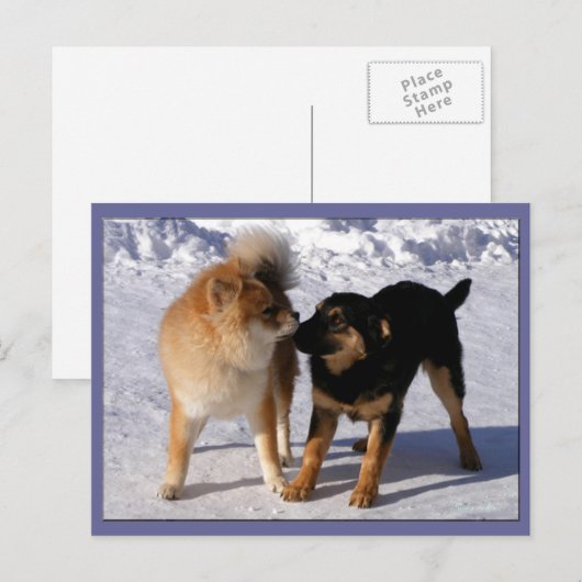 子犬の遊はがき ポストカード (正面/裏面)