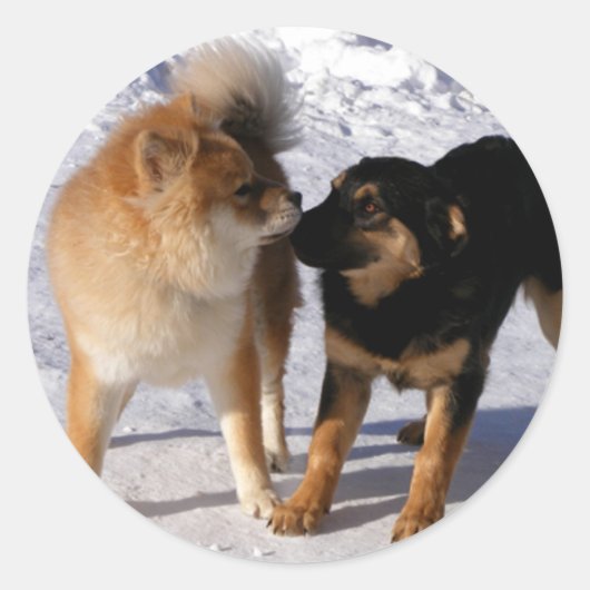 子犬の遊封筒用シール ラウンドシール (正面)