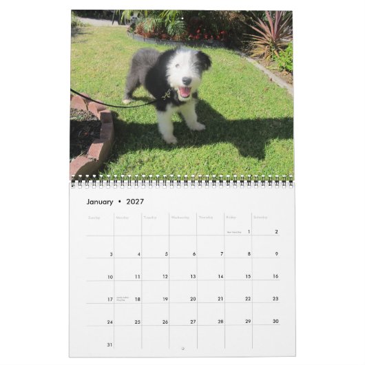 子犬の6月の2012日変更 カレンダー (1月 2027)