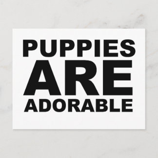 子犬はかわいい: Tシャツ ポストカード