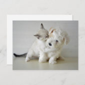 子犬はがき ポストカード (正面/裏面)