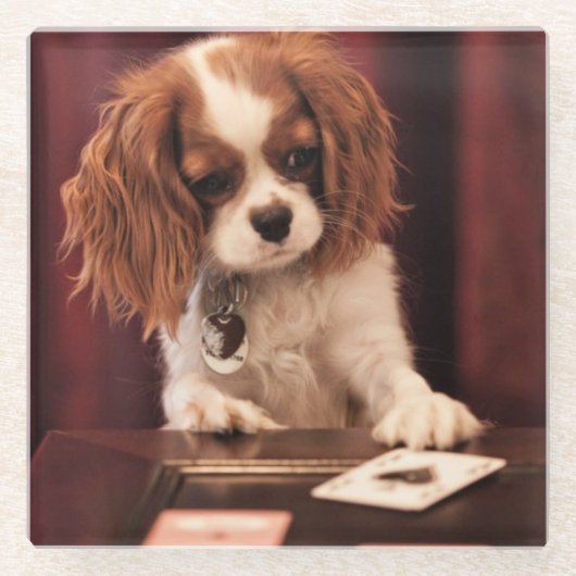 子犬はカードを遊びます ガラスコースター (正面)