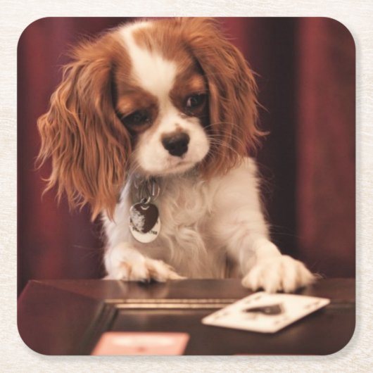 子犬はカードを遊びます スクエアペーパーコースター (正面)