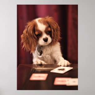 子犬はカードを遊びます ポスター