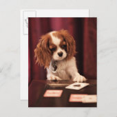 子犬はカードを遊びます ポストカード (正面/裏面)