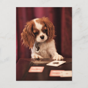 子犬はカードを遊びます ポストカード