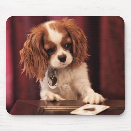 子犬はカードを遊びます マウスパッド (正面)