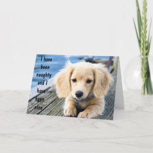 子犬はクリスマスいけなに行ったことがある シーズンカード