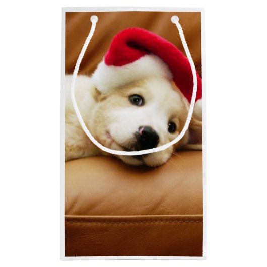 子犬はソファーにクリスマスの帽子そしてあることを身に着けています スモールペーパーバッグ (裏面)