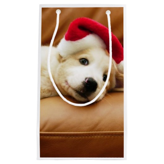 子犬はソファーにクリスマスの帽子そしてあることを身に着けています スモールペーパーバッグ (正面)