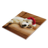 子犬はソファーにクリスマスの帽子そしてあることを身に着けています タイル (側面)