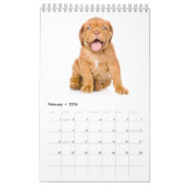 子犬は2017年をカレンダーに記録します カレンダー (2月 2026)