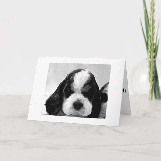 子犬は「丘の上でそう言わないか？」と言う。 カード (正面)