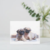 子犬を噛む ポストカード (スタンド正面)