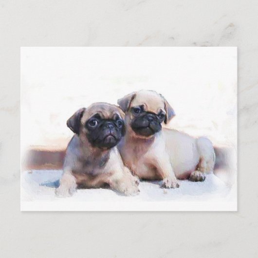 子犬を噛む ポストカード (正面)