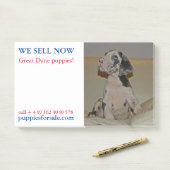 子犬を売りますと張り紙を貼る ポストイット (デスク)