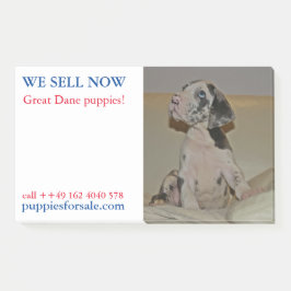 子犬を売りますと張り紙を貼る ポストイット