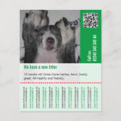 子犬を売る チラシ (正面)