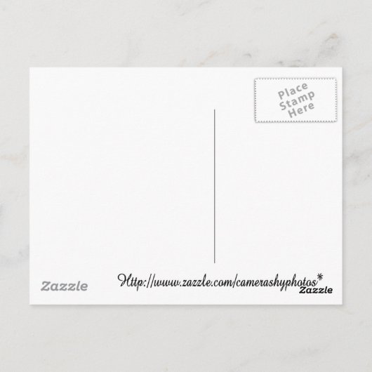 子犬カード ポストカード (裏面)