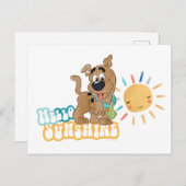 子犬スクービードゥー「ハローサンシャイン」 ポストカード (正面/裏面)