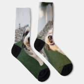 子犬ソックス ソックス (右)