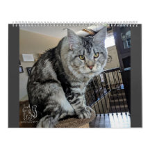 子犬ソックスCalendar氏