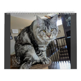 子犬ソックスCalendar氏 カレンダー