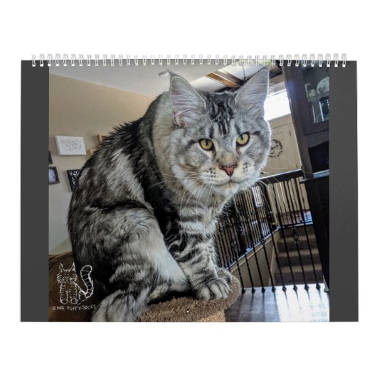 子犬ソックスCalendar氏 カレンダー (カバー)