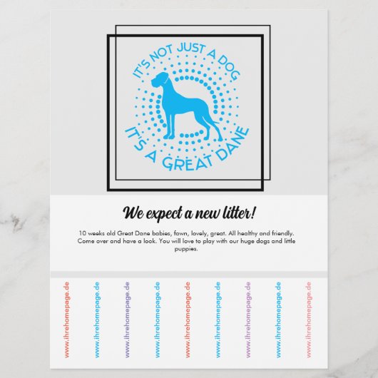 子犬チラシを売る チラシ (正面)