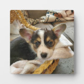 子犬パーソナライズされたの写真 フォトプラーク (正面)