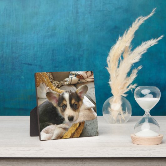 子犬パーソナライズされたの写真 フォトプラーク (インサイチュ)