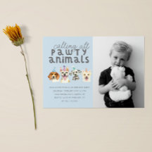 子犬パーティー動物誕生日写真