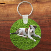 子犬ピットブルTボーン キーホルダー (正面)