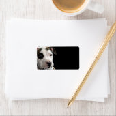 子犬ピットブルTボーン ラベル (インサイチュ)