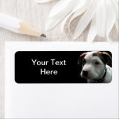 子犬ピットブルTボーン ラベル (インサイチュ)