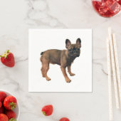 子犬フランスのの子犬 スタンダードカクテルナプキン (インサイチュ)