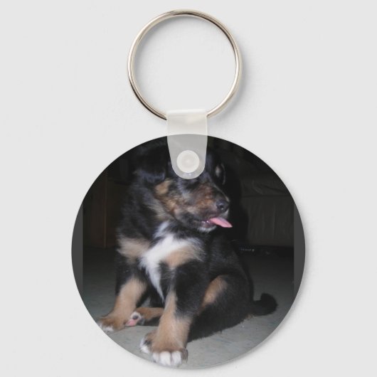 子犬ラズベリーキーチェーン キーホルダー (正面)