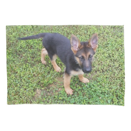 子犬保護 枕カバー (正面)