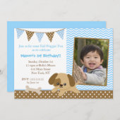 子犬写真誕生日招待状 招待状 (正面/裏面)