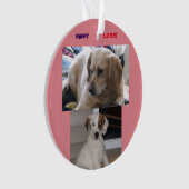 子犬及びSis オーナメント (正面)