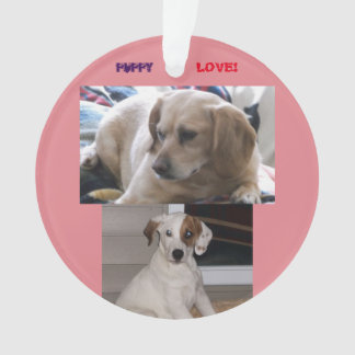 子犬及びSis オーナメント