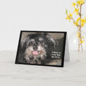 "子犬座Joey: 「私はをくまなく」舐め"たいと思います カード (黄色い花)