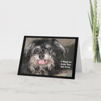 "子犬座Joey: 「私はをくまなく」舐め"たいと思います カード