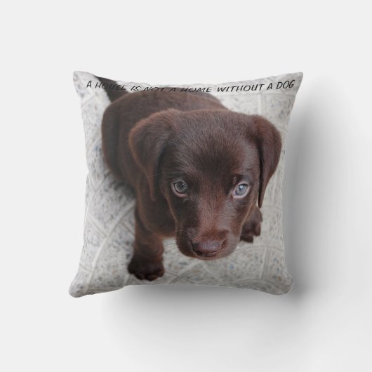 子犬引用文 クッション (裏面)