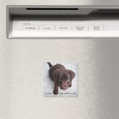 子犬引用文 マグネット (インサイチュ (食洗機))